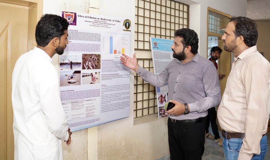 BBA Program